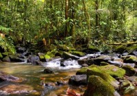 Juiz suspende decreto que extingue reserva nacional na Amazônia