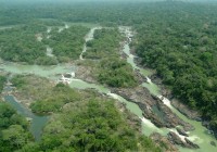 Governo envia ao Congresso projeto de lei que reduz floresta nacional no Pará